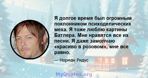 Я долгое время был огромным поклонником психоделических меха. Я тоже люблю картины Батлера. Мне нравятся все их песни. Я даже замолчаю «красиво в розовом», мне все равно.