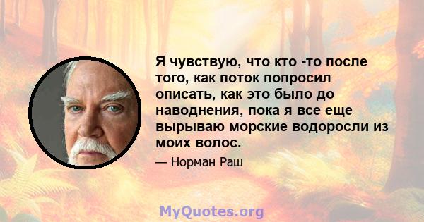 Я чувствую, что кто -то после того, как поток попросил описать, как это было до наводнения, пока я все еще вырываю морские водоросли из моих волос.