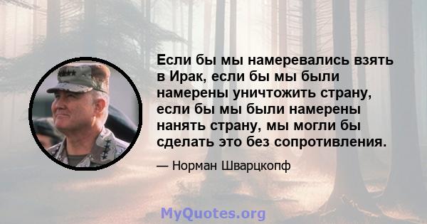 Если бы мы намеревались взять в Ирак, если бы мы были намерены уничтожить страну, если бы мы были намерены нанять страну, мы могли бы сделать это без сопротивления.