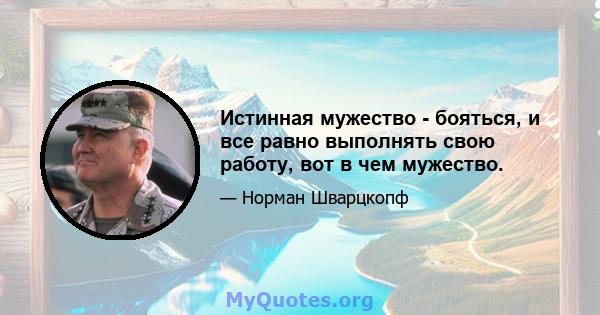 Истинная мужество - бояться, и все равно выполнять свою работу, вот в чем мужество.