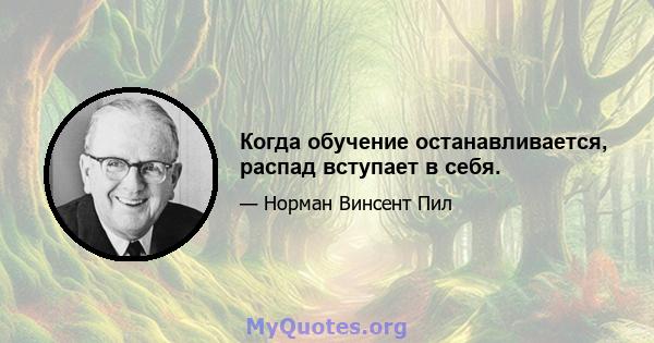 Когда обучение останавливается, распад вступает в себя.