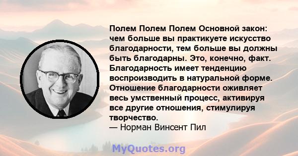 Полем Полем Полем Основной закон: чем больше вы практикуете искусство благодарности, тем больше вы должны быть благодарны. Это, конечно, факт. Благодарность имеет тенденцию воспроизводить в натуральной форме. Отношение