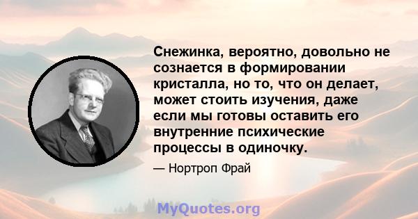 Снежинка, вероятно, довольно не сознается в формировании кристалла, но то, что он делает, может стоить изучения, даже если мы готовы оставить его внутренние психические процессы в одиночку.