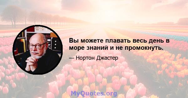 Вы можете плавать весь день в море знаний и не промокнуть.