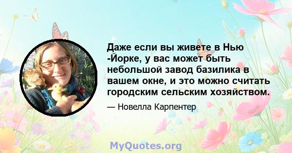 Даже если вы живете в Нью -Йорке, у вас может быть небольшой завод базилика в вашем окне, и это можно считать городским сельским хозяйством.