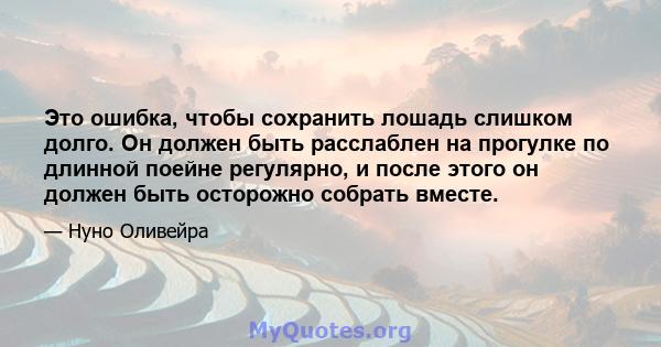 Это ошибка, чтобы сохранить лошадь слишком долго. Он должен быть расслаблен на прогулке по длинной поейне регулярно, и после этого он должен быть осторожно собрать вместе.