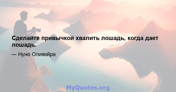 Сделайте привычкой хвалить лошадь, когда дает лошадь.