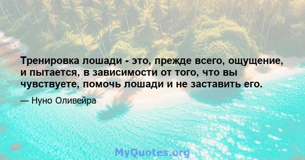 Тренировка лошади - это, прежде всего, ощущение, и пытается, в зависимости от того, что вы чувствуете, помочь лошади и не заставить его.