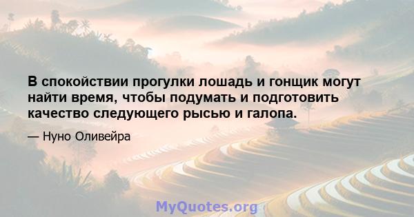 В спокойствии прогулки лошадь и гонщик могут найти время, чтобы подумать и подготовить качество следующего рысью и галопа.