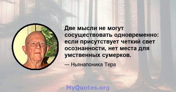 Две мысли не могут сосуществовать одновременно: если присутствует четкий свет осознанности, нет места для умственных сумерков.