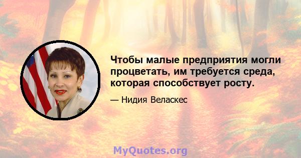 Чтобы малые предприятия могли процветать, им требуется среда, которая способствует росту.