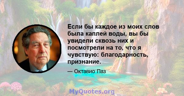 Если бы каждое из моих слов была каплей воды, вы бы увидели сквозь них и посмотрели на то, что я чувствую: благодарность, признание.