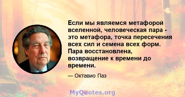 Если мы являемся метафорой вселенной, человеческая пара - это метафора, точка пересечения всех сил и семена всех форм. Пара восстановлена, возвращение к времени до времени.