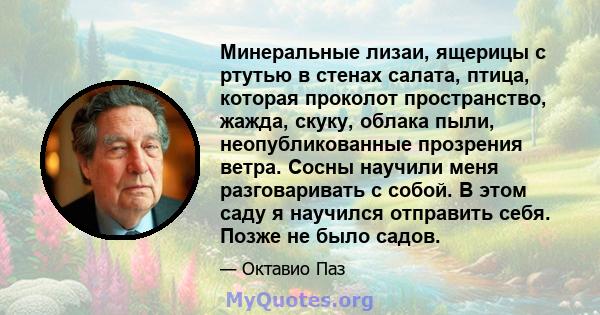 Минеральные лизаи, ящерицы с ртутью в стенах салата, птица, которая проколот пространство, жажда, скуку, облака пыли, неопубликованные прозрения ветра. Сосны научили меня разговаривать с собой. В этом саду я научился