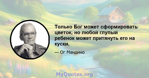 Только Бог может сформировать цветок, но любой глупый ребенок может притянуть его на куски.