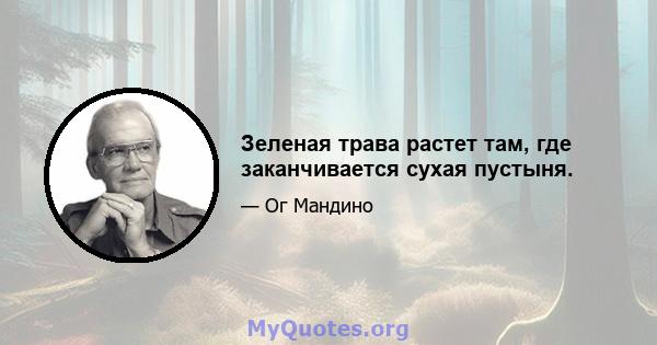 Зеленая трава растет там, где заканчивается сухая пустыня.