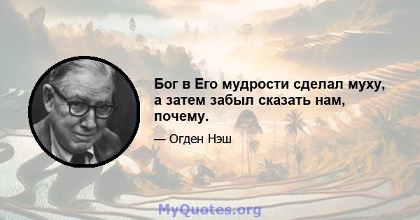 Бог в Его мудрости сделал муху, а затем забыл сказать нам, почему.