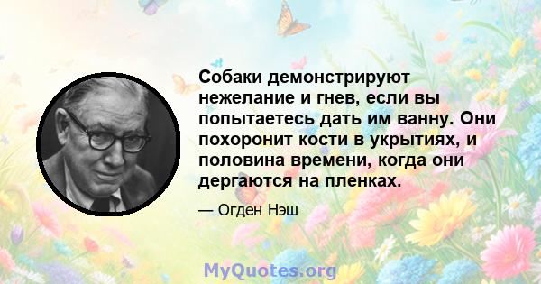 Собаки демонстрируют нежелание и гнев, если вы попытаетесь дать им ванну. Они похоронит кости в укрытиях, и половина времени, когда они дергаются на пленках.