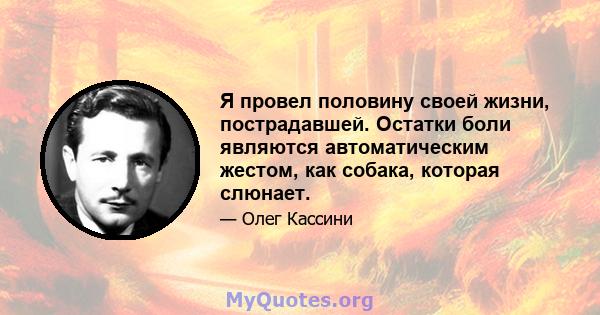 Я провел половину своей жизни, пострадавшей. Остатки боли являются автоматическим жестом, как собака, которая слюнает.