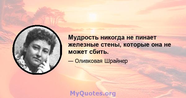 Мудрость никогда не пинает железные стены, которые она не может сбить.