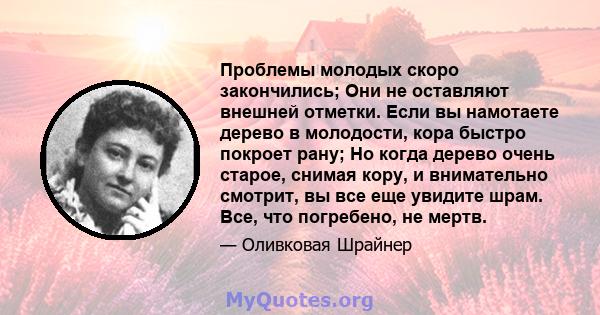 Проблемы молодых скоро закончились; Они не оставляют внешней отметки. Если вы намотаете дерево в молодости, кора быстро покроет рану; Но когда дерево очень старое, снимая кору, и внимательно смотрит, вы все еще увидите