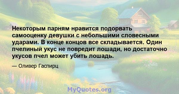 Некоторым парням нравится подорвать самооценку девушки с небольшими словесными ударами. В конце концов все складывается. Один пчелиный укус не повредит лошади, но достаточно укусов пчел может убить лошадь.