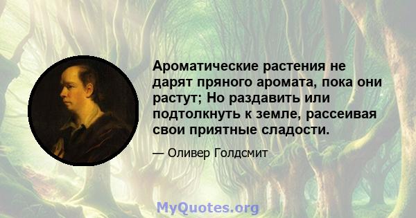 Ароматические растения не дарят пряного аромата, пока они растут; Но раздавить или подтолкнуть к земле, рассеивая свои приятные сладости.