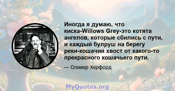 Иногда я думаю, что киска-Willows Grey-это котята ангелов, которые сбились с пути, и каждый булруш на берегу реки-кошачий хвост от какого-то прекрасного кошачьего пути.