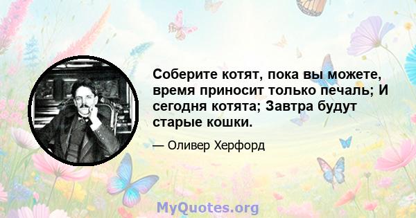 Соберите котят, пока вы можете, время приносит только печаль; И сегодня котята; Завтра будут старые кошки.