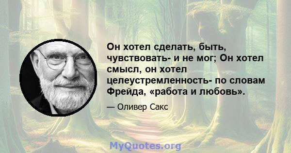 Он хотел сделать, быть, чувствовать- и не мог; Он хотел смысл, он хотел целеустремленность- по словам Фрейда, «работа и любовь».