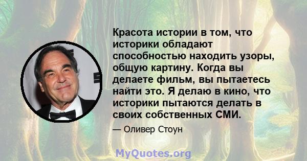 Красота истории в том, что историки обладают способностью находить узоры, общую картину. Когда вы делаете фильм, вы пытаетесь найти это. Я делаю в кино, что историки пытаются делать в своих собственных СМИ.