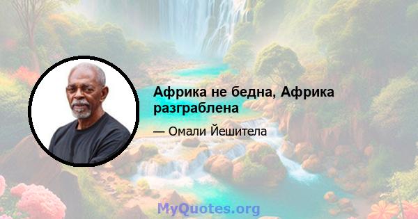 Африка не бедна, Африка разграблена