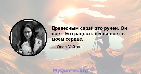 Древесным сарай это ручей. Он поет. Его радость песня поет в моем сердце.