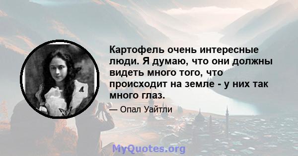 Картофель очень интересные люди. Я думаю, что они должны видеть много того, что происходит на земле - у них так много глаз.