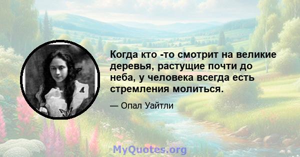 Когда кто -то смотрит на великие деревья, растущие почти до неба, у человека всегда есть стремления молиться.