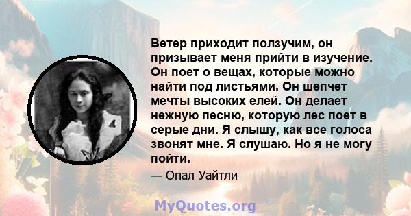 Ветер приходит ползучим, он призывает меня прийти в изучение. Он поет о вещах, которые можно найти под листьями. Он шепчет мечты высоких елей. Он делает нежную песню, которую лес поет в серые дни. Я слышу, как все