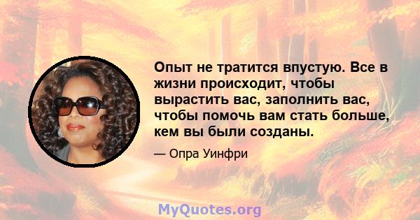 Опыт не тратится впустую. Все в жизни происходит, чтобы вырастить вас, заполнить вас, чтобы помочь вам стать больше, кем вы были созданы.