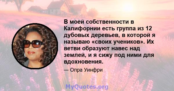 В моей собственности в Калифорнии есть группа из 12 дубовых деревьев, в которой я называю «своих учеников». Их ветви образуют навес над землей, и я сижу под ними для вдохновения.