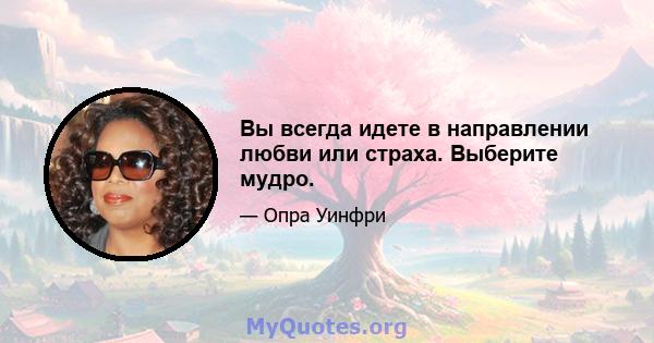 Вы всегда идете в направлении любви или страха. Выберите мудро.