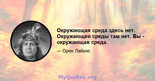 Окружающая среда здесь нет. Окружающей среды там нет. Вы - окружающая среда.