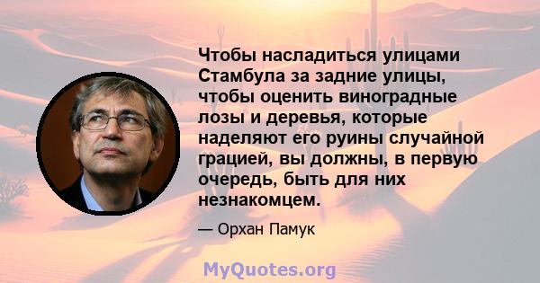 Чтобы насладиться улицами Стамбула за задние улицы, чтобы оценить виноградные лозы и деревья, которые наделяют его руины случайной грацией, вы должны, в первую очередь, быть для них незнакомцем.