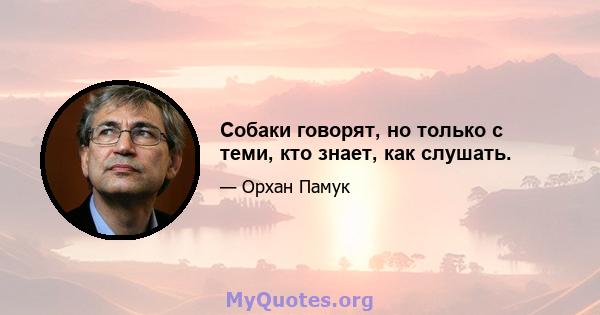 Собаки говорят, но только с теми, кто знает, как слушать.