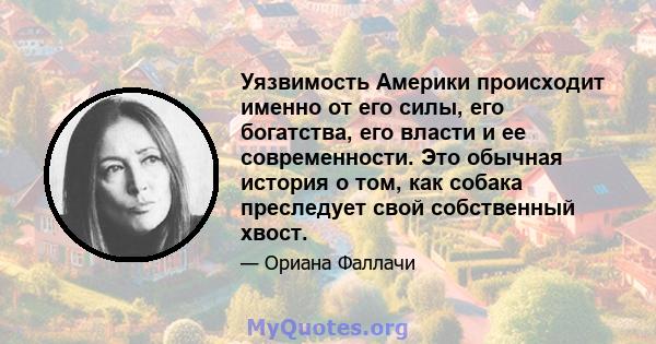 Уязвимость Америки происходит именно от его силы, его богатства, его власти и ее современности. Это обычная история о том, как собака преследует свой собственный хвост.