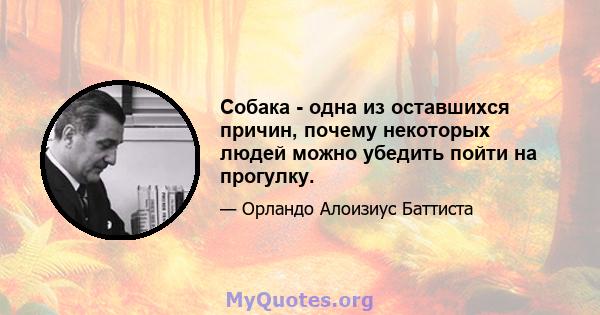 Собака - одна из оставшихся причин, почему некоторых людей можно убедить пойти на прогулку.