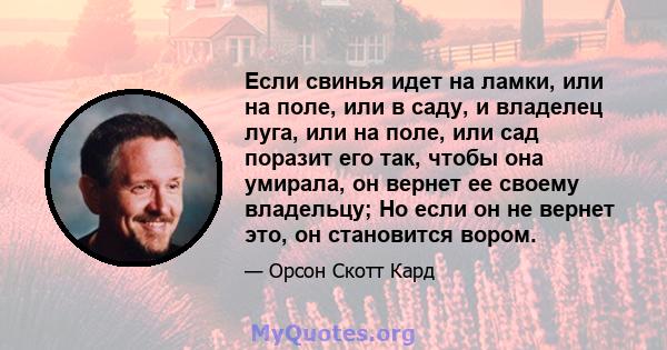 Если свинья идет на ламки, или на поле, или в саду, и владелец луга, или на поле, или сад поразит его так, чтобы она умирала, он вернет ее своему владельцу; Но если он не вернет это, он становится вором.