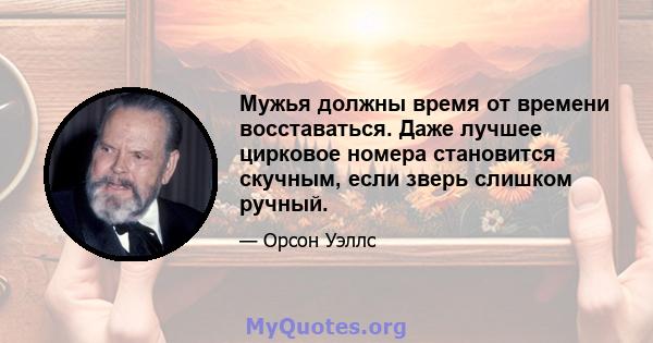 Мужья должны время от времени восставаться. Даже лучшее цирковое номера становится скучным, если зверь слишком ручный.