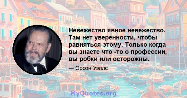 Невежество явное невежество. Там нет уверенности, чтобы равняться этому. Только когда вы знаете что -то о профессии, вы робки или осторожны.