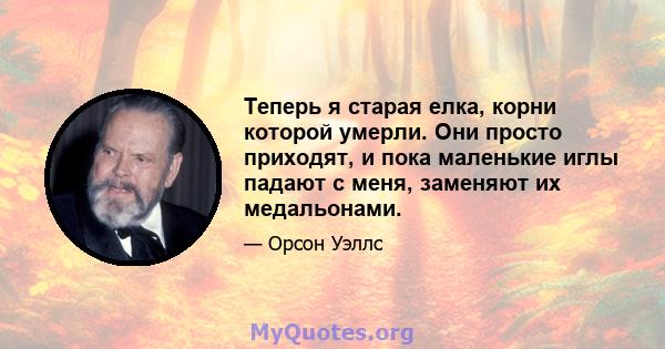 Теперь я старая елка, корни которой умерли. Они просто приходят, и пока маленькие иглы падают с меня, заменяют их медальонами.