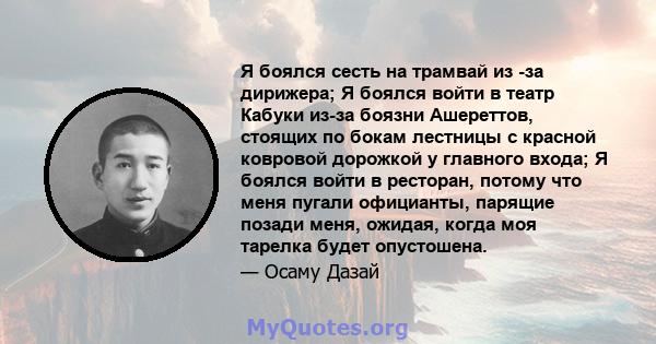 Я боялся сесть на трамвай из -за дирижера; Я боялся войти в театр Кабуки из-за боязни Ашереттов, стоящих по бокам лестницы с красной ковровой дорожкой у главного входа; Я боялся войти в ресторан, потому что меня пугали