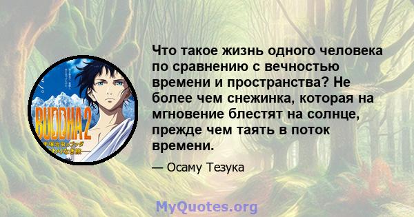 Что такое жизнь одного человека по сравнению с вечностью времени и пространства? Не более чем снежинка, которая на мгновение блестят на солнце, прежде чем таять в поток времени.